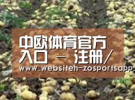 种植基地七