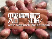 产品展示标题5