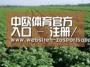 种植基地五