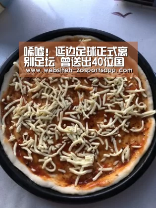 中欧体育，中欧体育app，中欧体育官网，中欧体育官网入口